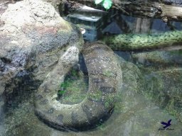 Tiergarten Schönbrunn am 20.10.2025